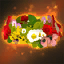 1x Summery Floral Crown Summery Floral Crown